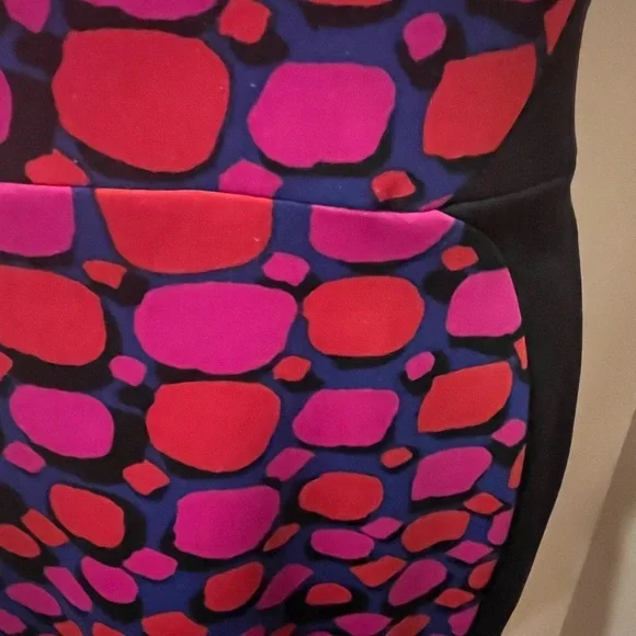 Anne Klein Multi Print Panel ScubaDress, size 8